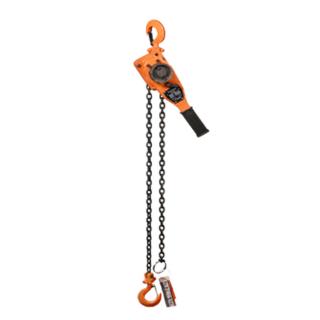 MAGNA Lifting Products 10-Foot Lever Hoist