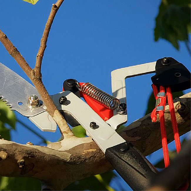 Corona DualLink 14 Foot Tree Saw and Pruner