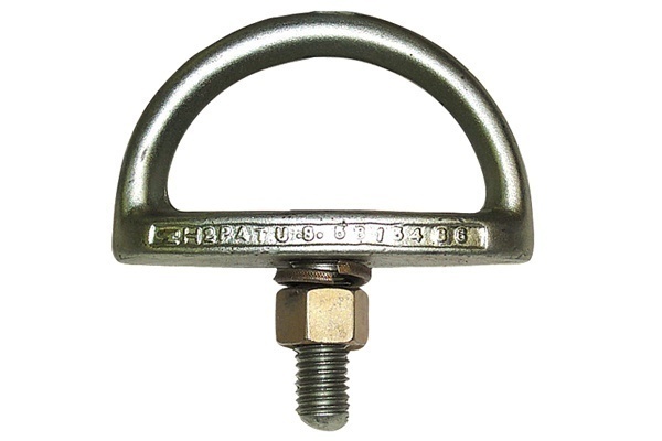 Protecta AN112A Anchorage D-Bolt from GME Supply