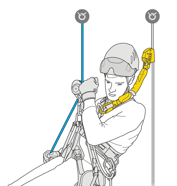 Petzl ASAP'Sorber (2019) from GME Supply