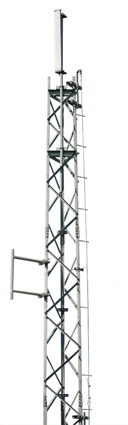 Trylon Cougar Safety Climb System from GME Supply
