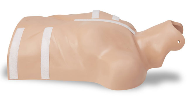 AED Plus Demo Manikin from GME Supply